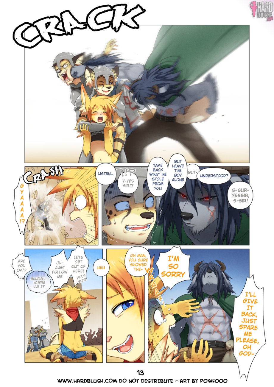 Page 13